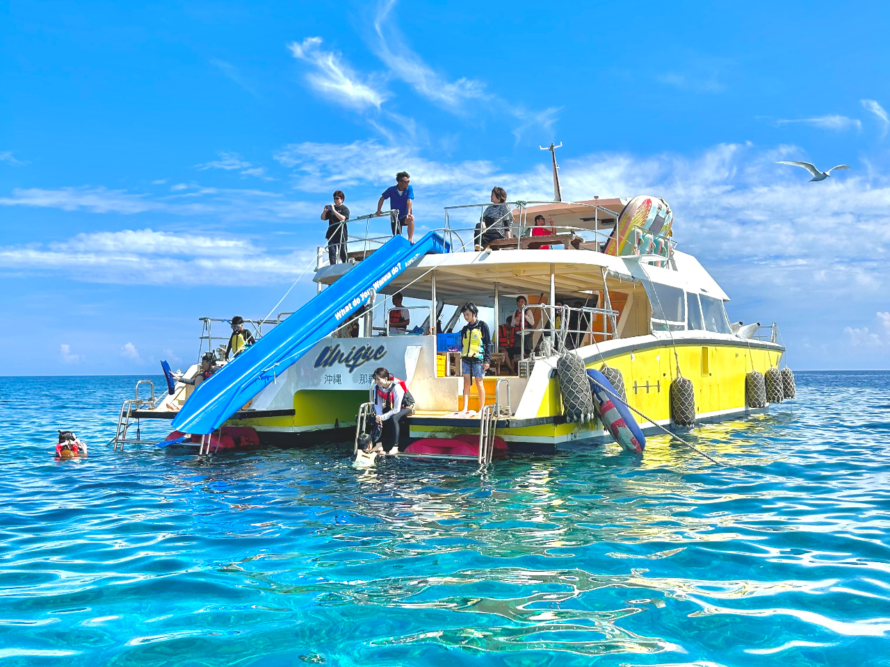 ツアーに使用する船は95名定員の特注大型クルーザー☆広々とした船からキレイな海に潜っちゃおう☆