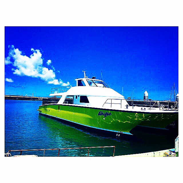 ���D�͂Q�O�P�V�N�ǏA�q�̐V���I�X�T������̉���ő�N���[�U�[�I