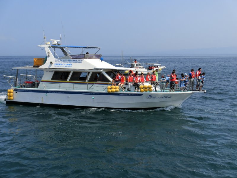 N[U[^Cv́AćilTOljɂΉł܂