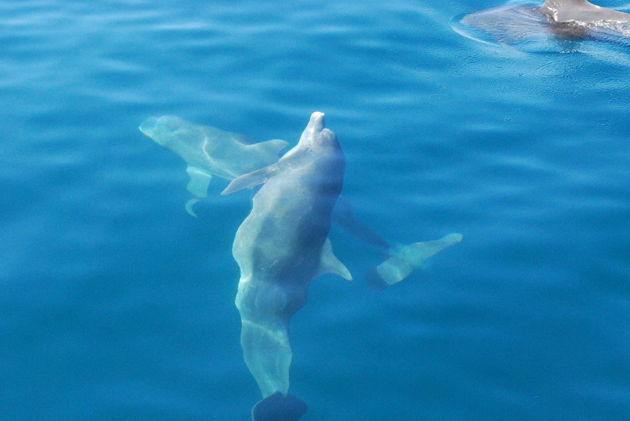 ǂȃV[邩H Aő̂y݂ł