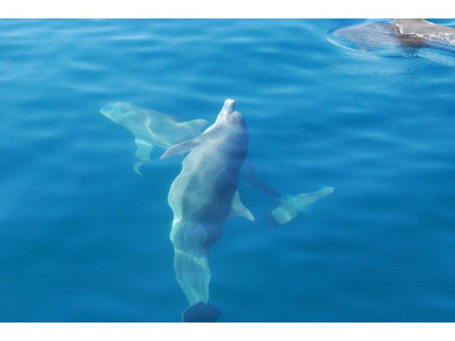 どんなシーンが見られるか? 当日、最大のお楽しみです♪