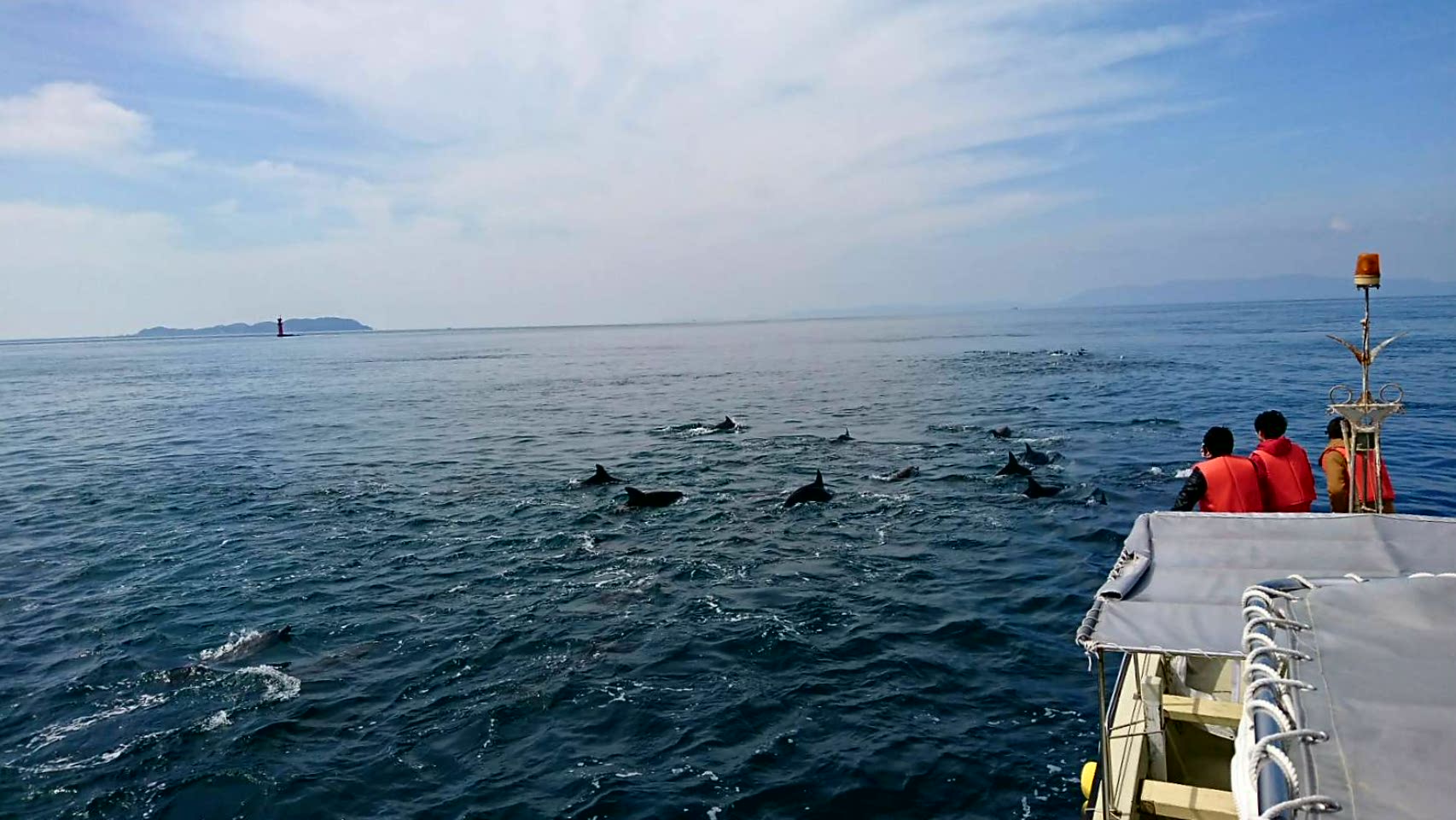 쐶̃CJɖĂ݂܂񂩁H