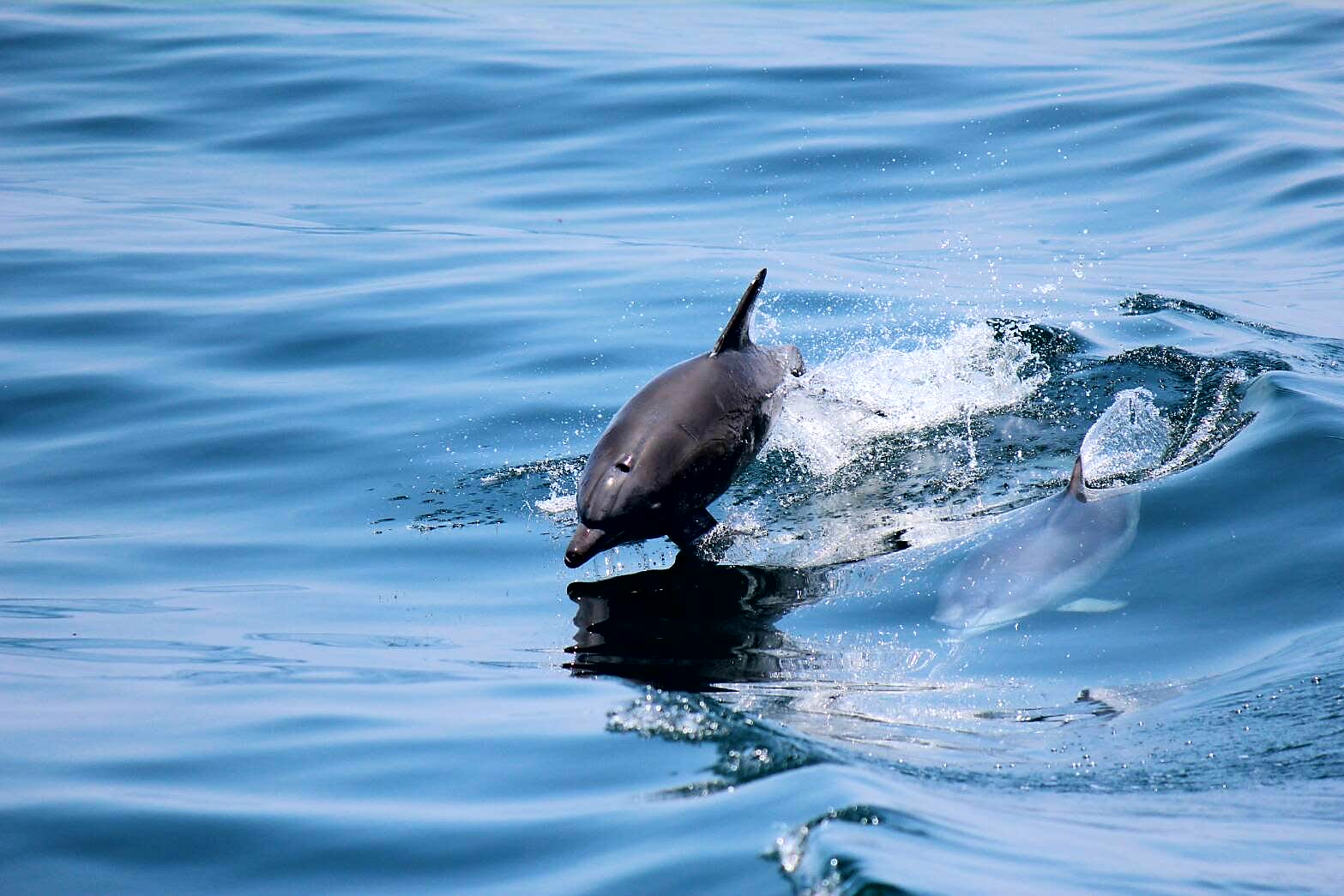 家族みんなで感動・興奮!!