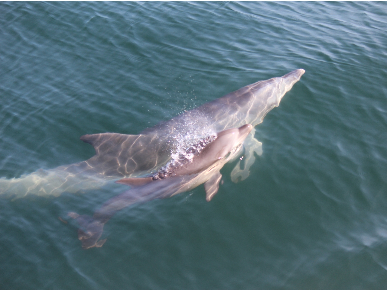 tɂ́A킢ԂCJ邱Ƃ܂B