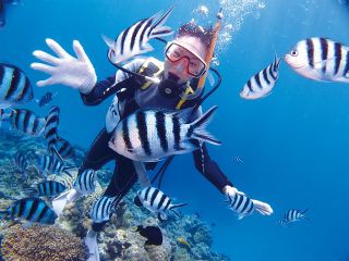 どこまでも透き通る海でスキューバダイビング♪ 初挑戦でも泳ぎが苦手でも大丈夫!インストラクターがマンツーマンでしっかりサポートします!