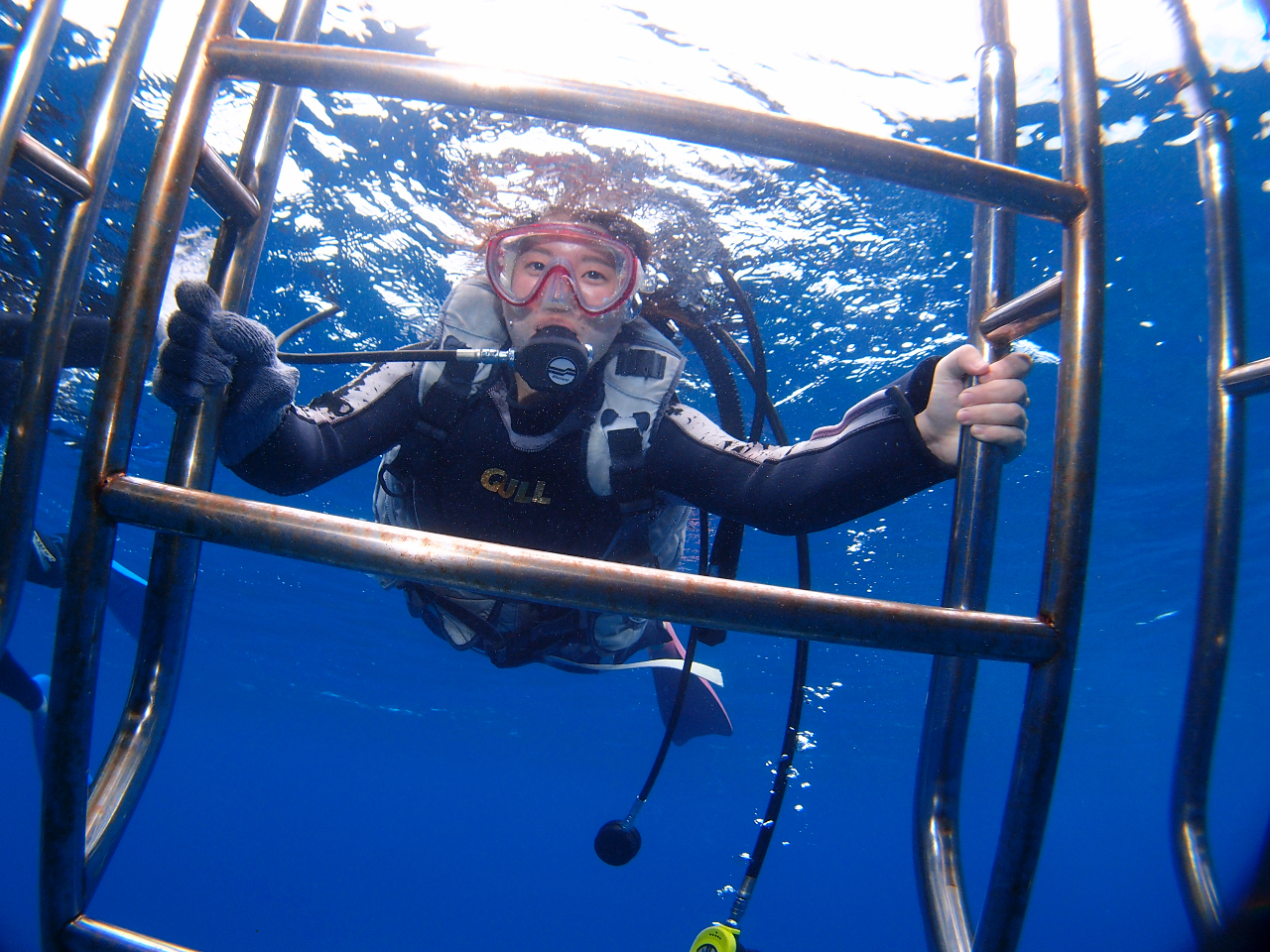 uǨ̓_CrO̗KIM[^[Đł̌ċz̗KAۂɕK{̗̎KĂ܂