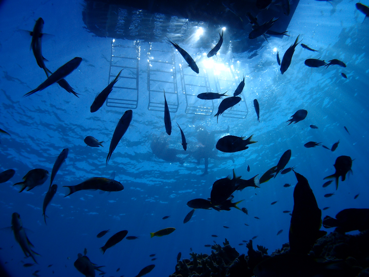 N[[Vʂ̍ƌĂC̒B̗͂𔲂ăbNXĂz(^^)