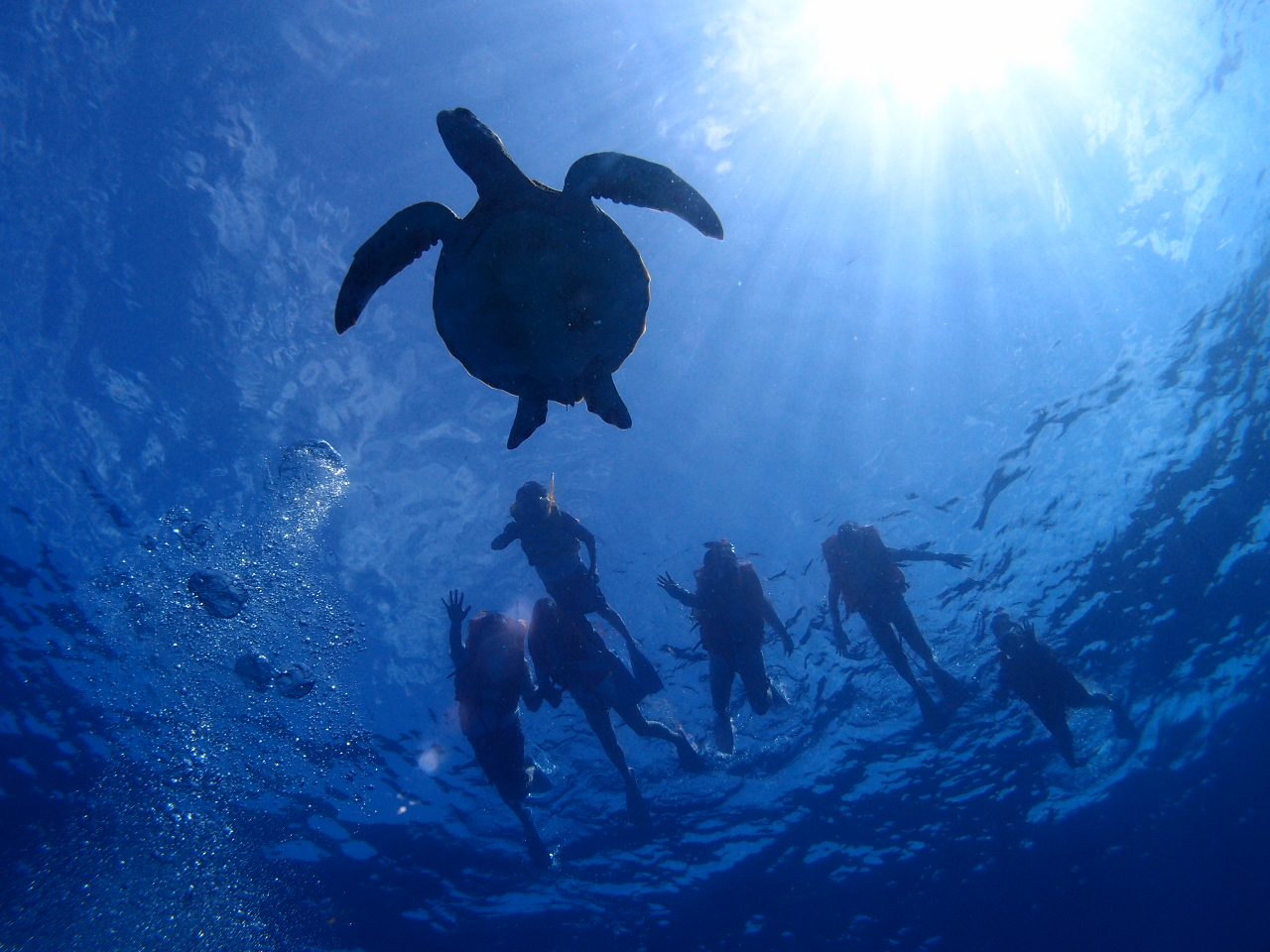 Vm[PO|Cg͖쐶E~KĂ܂Iꏏɉj烉bL[