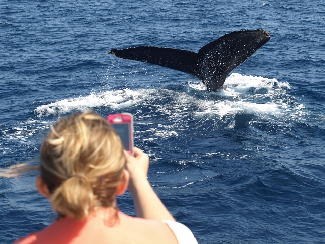 NW鎞Ɍ邵ۂ̗BNW̌̂͂̂ۂ̗́u͗lvuFvu`vŎʂ܂IǂȂۂ`Ă݂悤