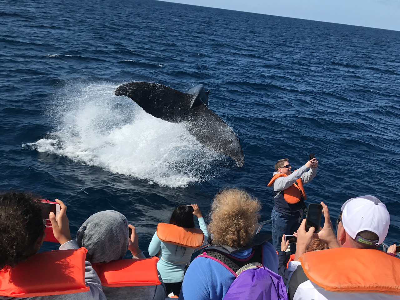 ˑR̃ANVɂ݂ȂтIVb^[`X͈ułI