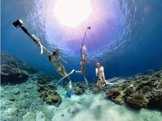 半日便で予定が立てやすいのも魅了的!到着した日の午後からのご参加や、午前中海に行った後も観光の時間がたっぷり取れます♪