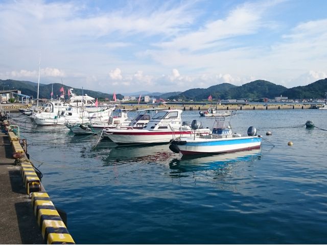 ダイブセンター前の外浦港。ここから出港します