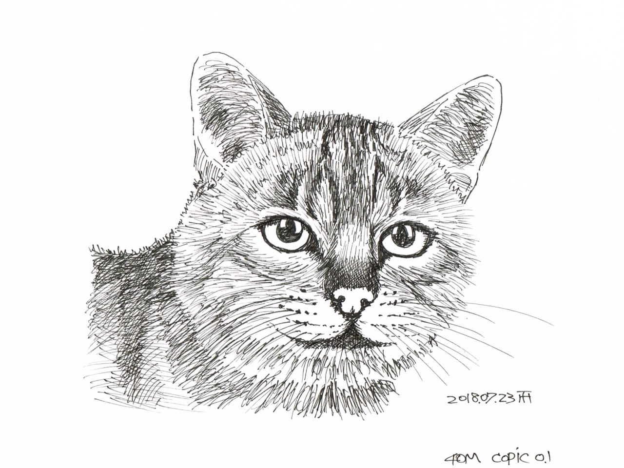 ボールペン 画　ペン画　絵画　【サイ生】　1点もの 49580c8d23cc5df6fca948fd55212a