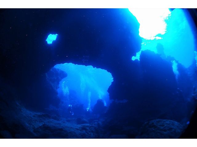 壮大な地形やウミガメにも会いに行こう!