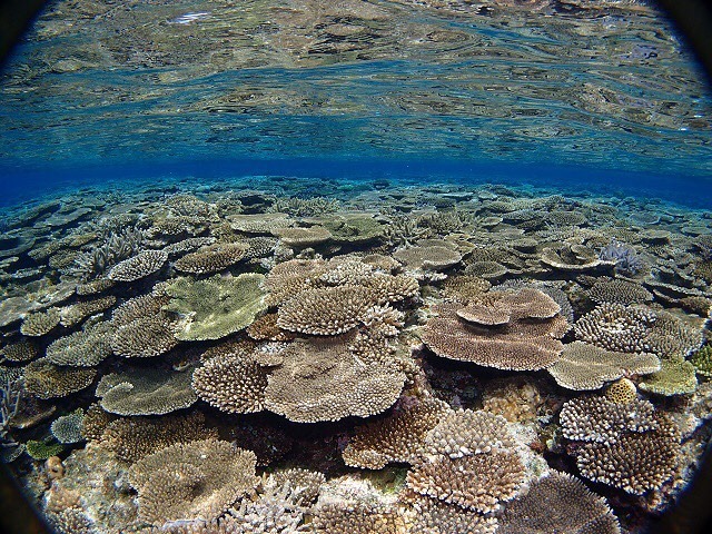 CJ[h擾AI[vEH[^[fr[͌cǊԂŌ܂IЃgCĂB