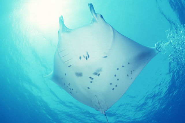 E~K}^AFƂǂ̔MыȂǁA܂܂ȊC̐A݂Ȃ܂̂z҂Ă܂B