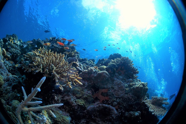 ǂ܂ł񂾉̊CŁAԂYĂVт܂傤BFƂ̎Q劽}I