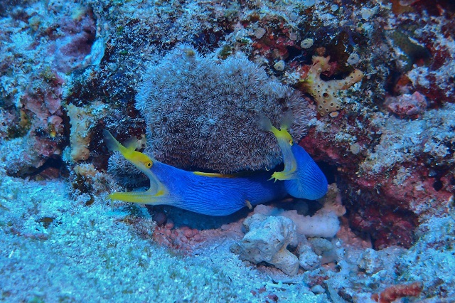 S҂xe܂ŁA喞̎Ԃ񑩁BlȂł͂̂ߍׂT[rXł͂܂B