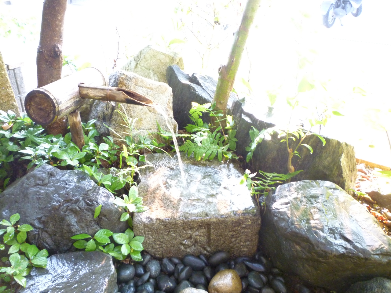 茶室に入る前は必ず、手と口を蹲踞で清めます。神聖な雰囲気ですね〜