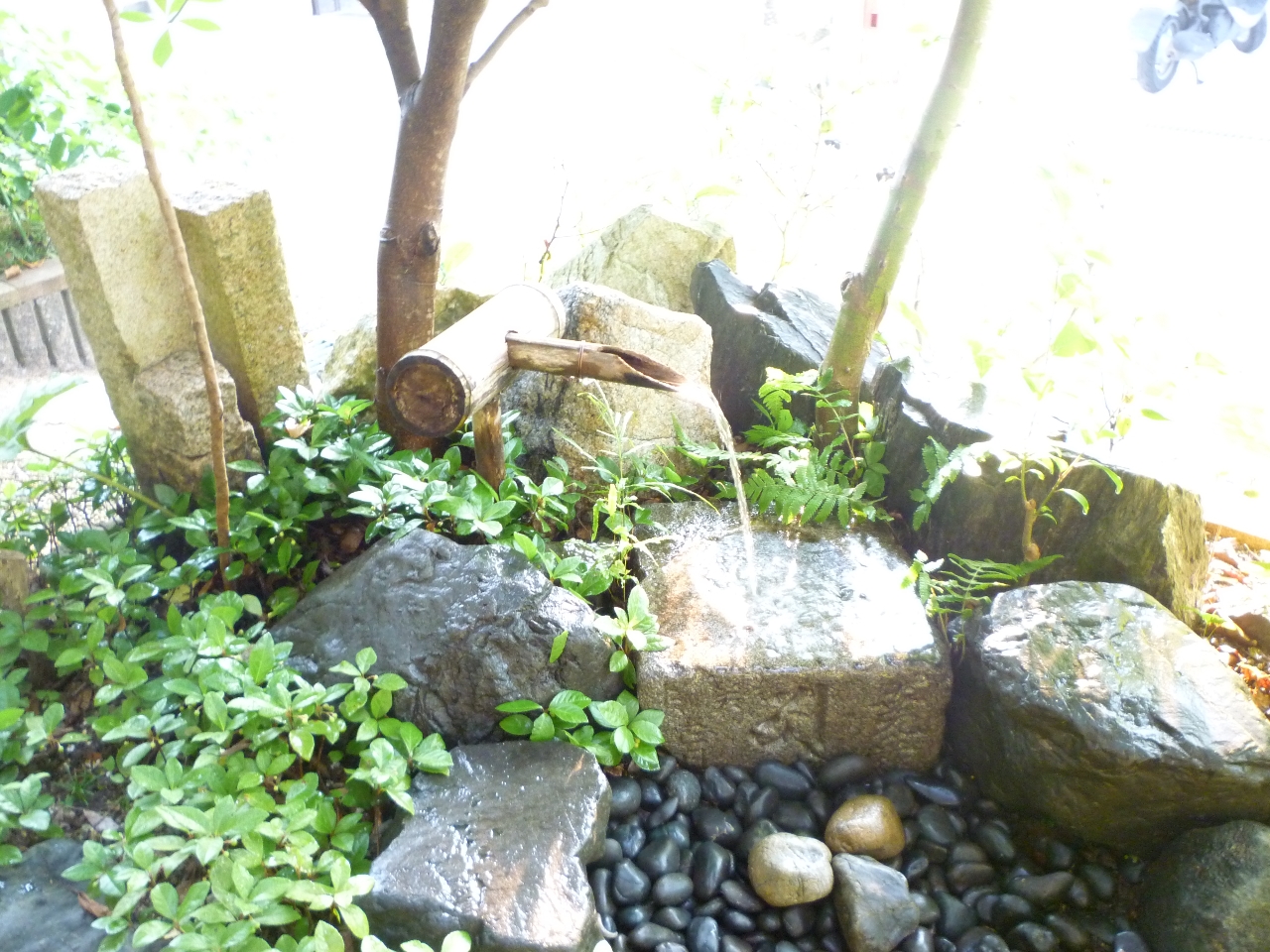 ɓOɂ͕KLŎƌ𐴂߂܂