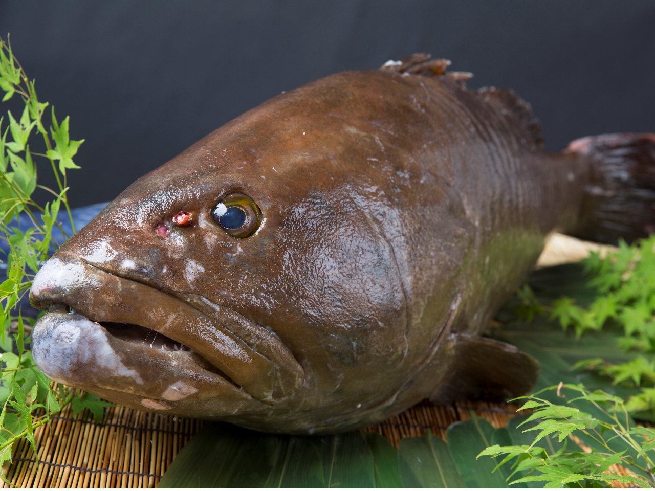 a̎R̓~̕uNGvy݂ɗĂˁ