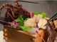 プリップリの伊勢エビは、甘みと旨みを味わえます♪ ※写真のお造り2名様盛りです。
