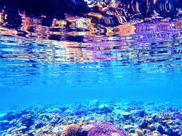 地域クーポン対応 北部発 水納島ボートシュノーケリング ミシュラン一ツ星 水納島プチ上陸 21年じゃらん沖縄 水納島エリア口コミ第1位 お魚ガイドサポート付 4kカメラgopro撮影 沖縄アイランドクルー じゃらん遊び体験 地域クーポン対応 北部発 水納島ボートシュノーケリング ミシュラン一ツ星 水納島プチ上陸 21年じゃらん沖縄 水納島エリア口コミ第1位 お魚ガイドサポート付 4kカメラgopro撮影 沖縄アイランドクルー じゃらん遊び体験