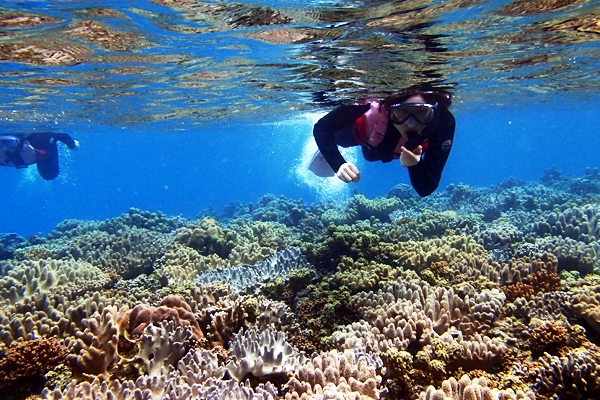 EFbgX[c^Ɋ܂܂܂̂ŁA΍ob`I