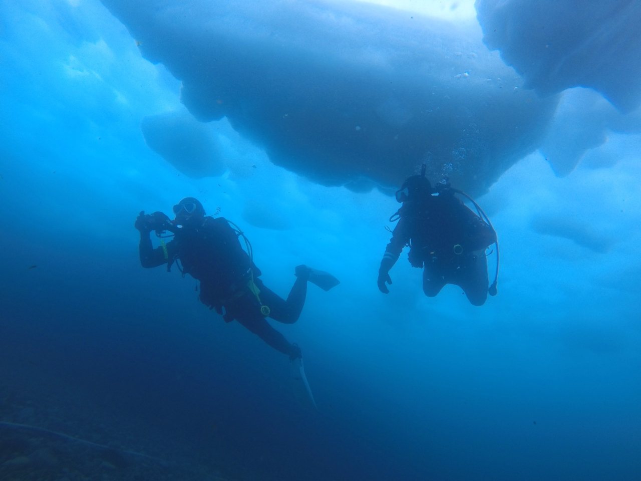 世界遺産の海 北海道知床 流氷ダイビング クリオネに逢いに!2026年3月7(土...