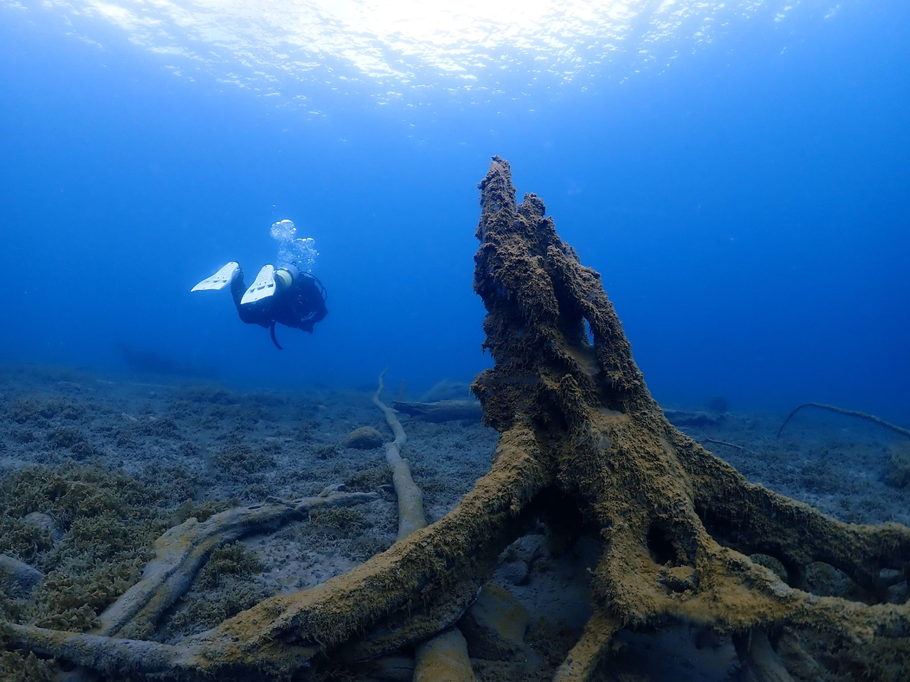 支笏湖:★4・5・6月支笏湖最も透明度が良いシーズン★7月チトセバイカモのシーズン ★8月:ウエットでも潜れる月 ★9月:紅葉と生物が多い★10月ヒメマス産卵