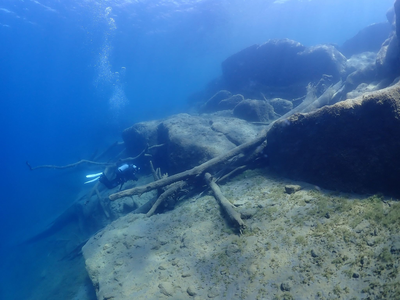 x┉ΎRn肾uJf΁v@x┌ΐ͐_IB