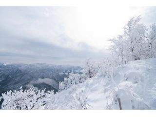 冬のトレッキング 冬自然 樹氷or霧氷 展望 Lv 1 高見山樹氷コース 有限会社自然派企画 じゃらん遊び体験 冬のトレッキング 冬自然 樹氷or霧氷 展望 Lv 1 高見山樹氷コース 有限会社自然派企画 じゃらん遊び体験