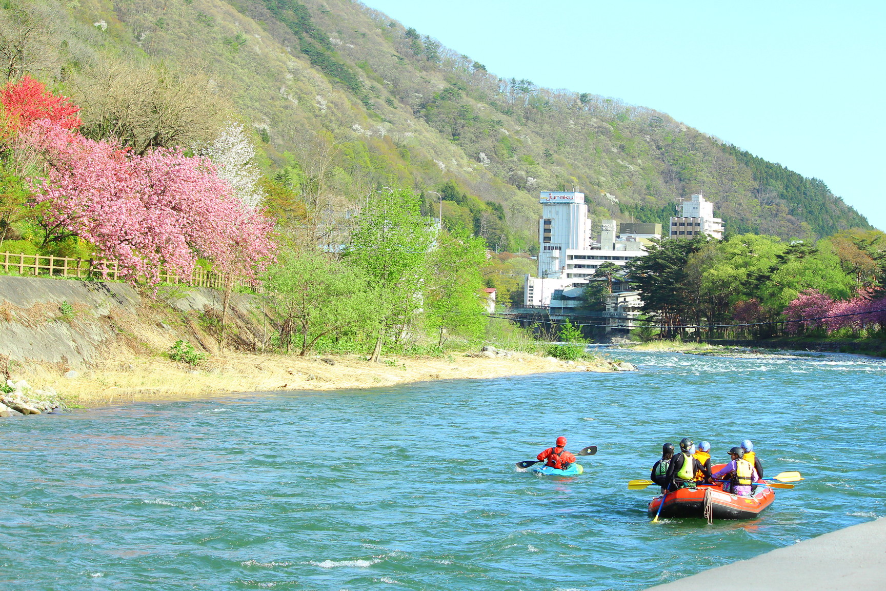春は川から眺める桜もきれいです。