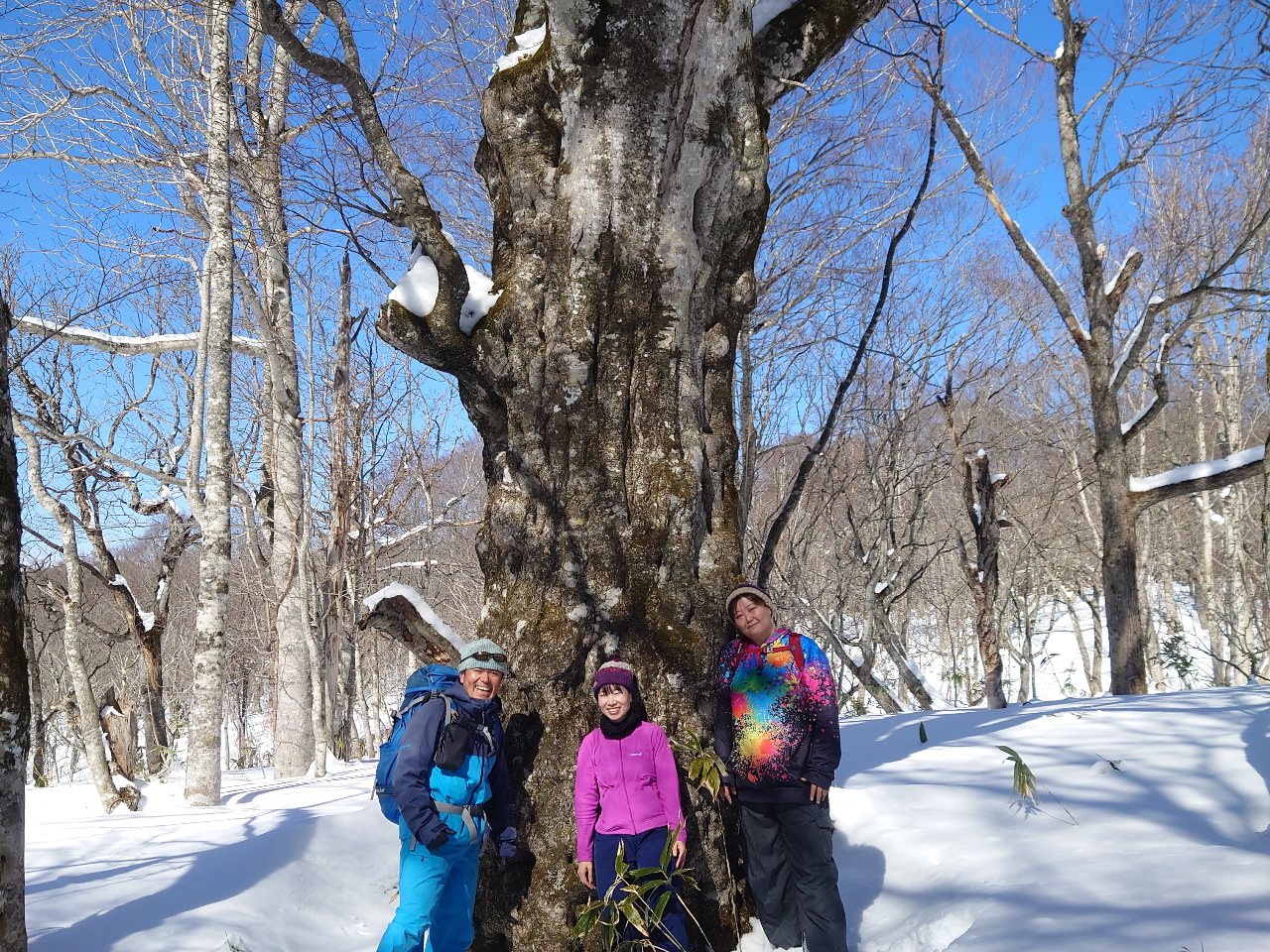 �u�i�̋���