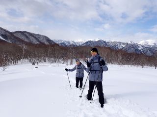 みなかみ藤原地区の雪原と森で