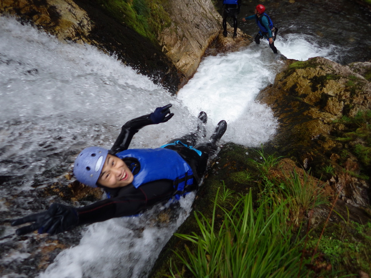 ڂɃ_CuAuLjIjOcA[A[vR[X