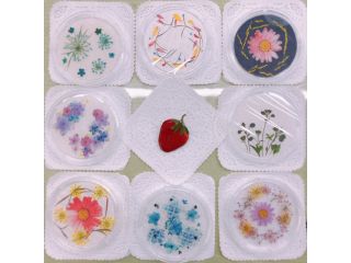 お花が選べて簡単に作れる^。^押し花コースター