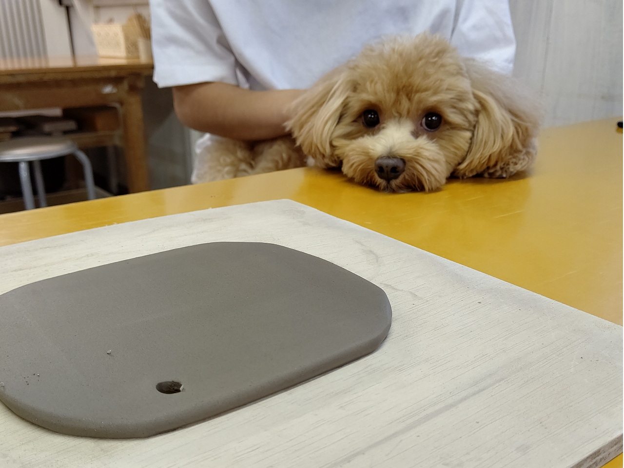 紐を通す穴をあけてるママを見守って出番を待ってるちくわクン♪穴無しでもいいよ