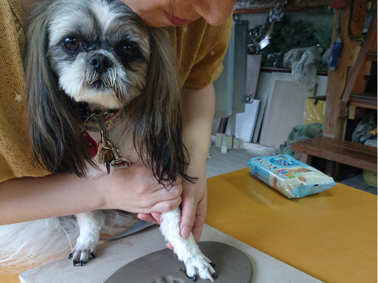 VIN͗]T̃JڐI}}Ƃ̑sb^