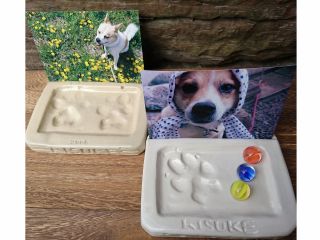 肉球写真立て(レギュラーサイズ)の完成作品例。中型犬。ワンちゃんの肉球をそのままスタンプして記念に残します♪
