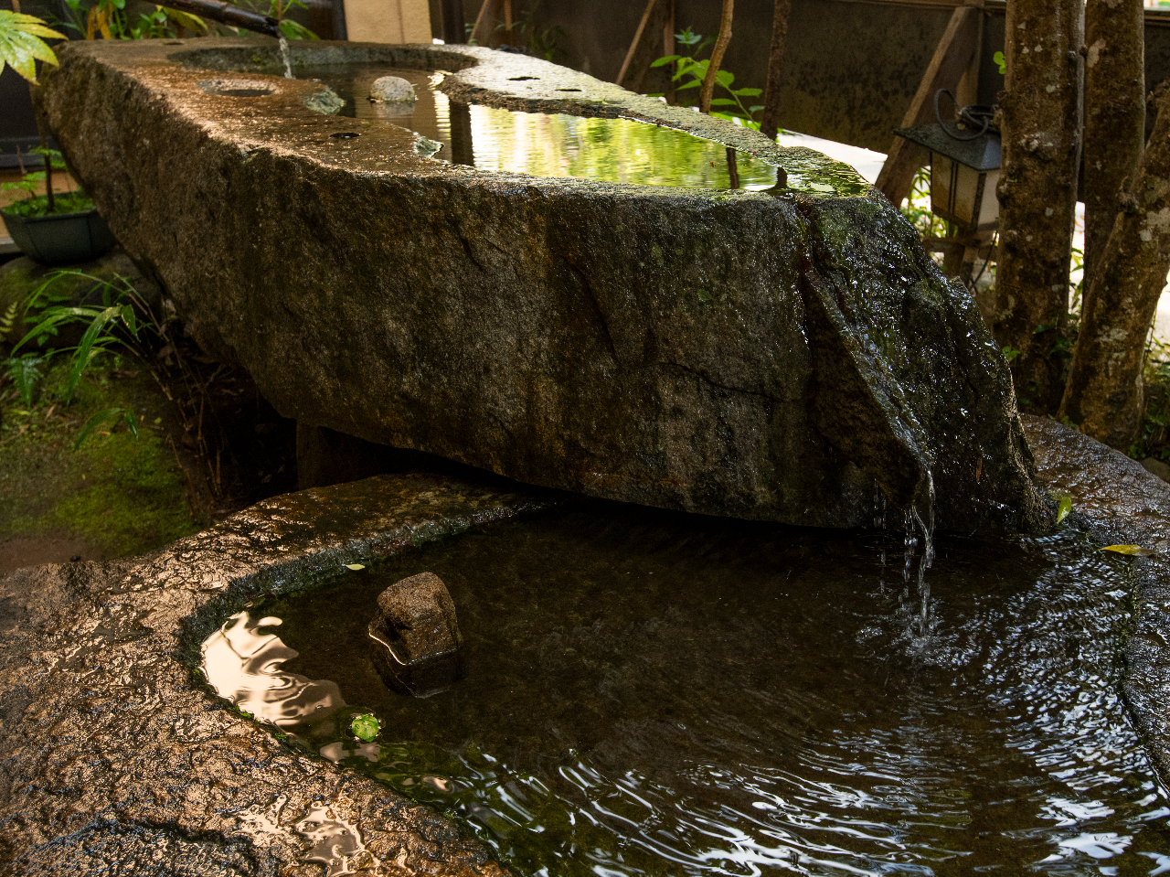 ���R�̎��R����������R���̂����炬�������Ă��������܂��B