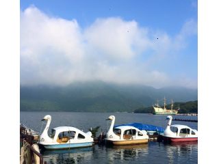 3人乗りのスワンボートに乗って、芦ノ湖を遊覧しましょう♪