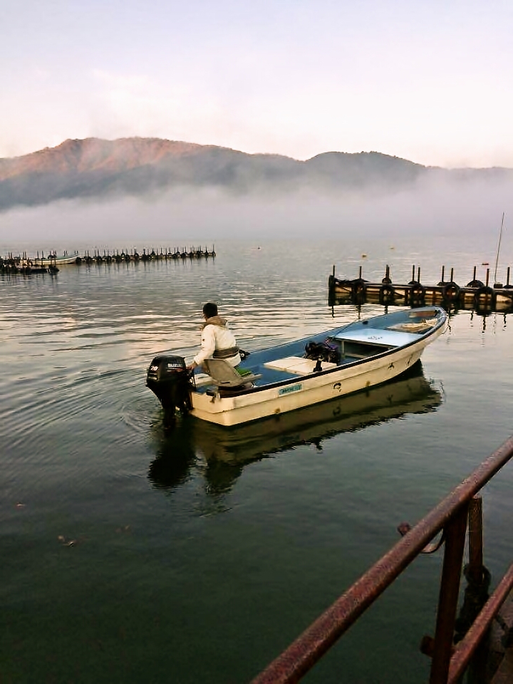 DɏāAނɏo܂Ivy݂܂`I