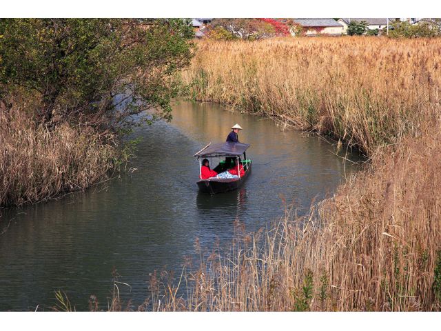 日本三大水郷のひとつにあげられている近江八幡の水郷、その中でも昔と変わらない自然のままの水郷は近江八幡だけで日本一と言われています。