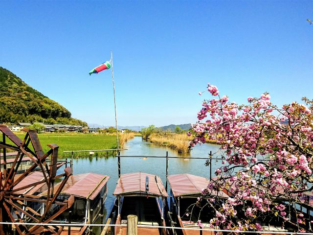 乗り場の目の前から水郷の景色が広がります。