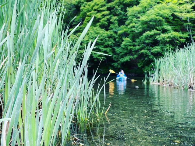 水量では草原中をわさわさかき分けることも。