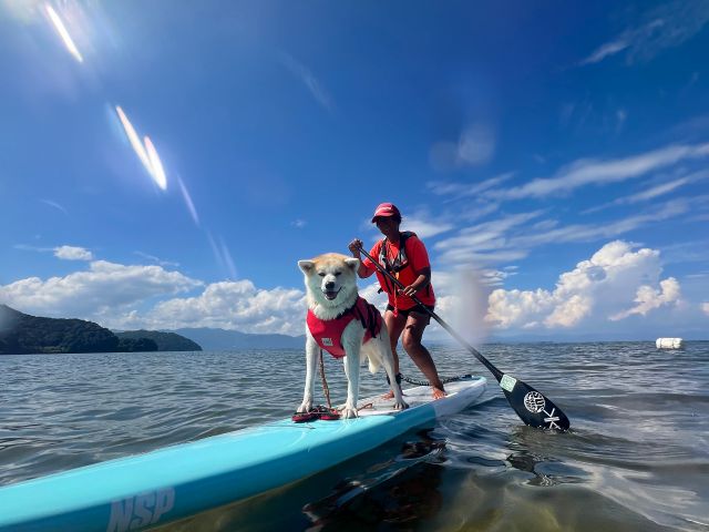 愛犬と一緒にワンコSUP