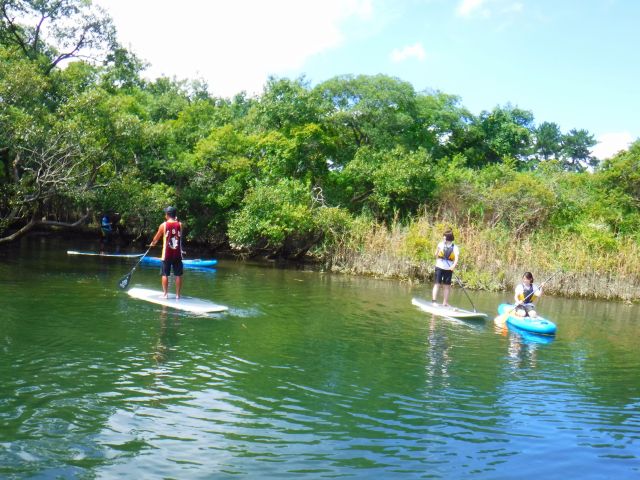 気分はジャングルクルーズ☆