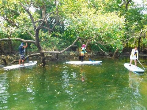 リピーター多数の人気コースです☆