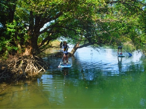 自然を満喫しながらSUPを楽しみましょう♪